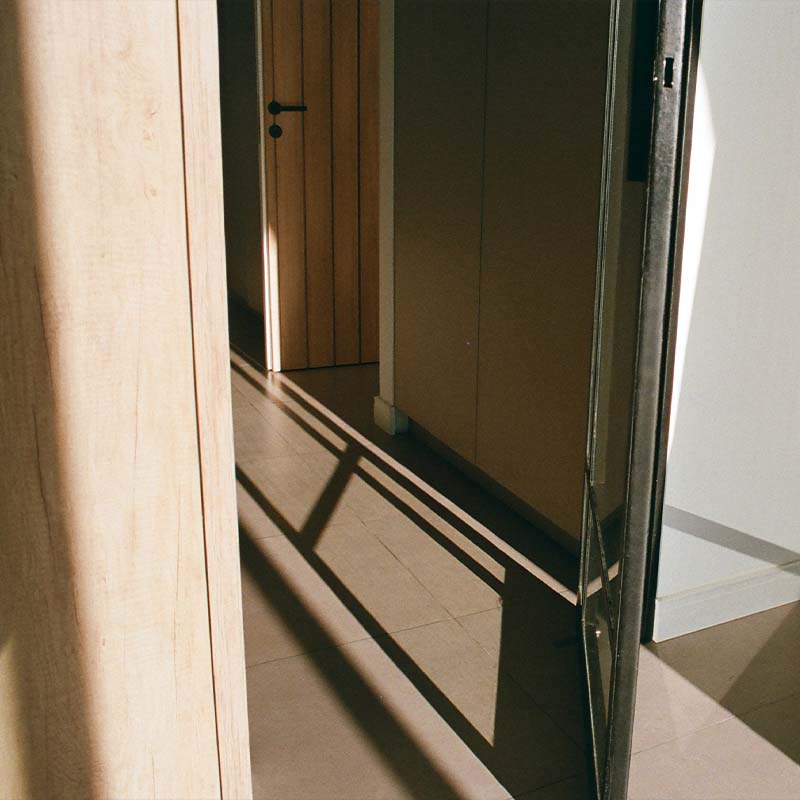 M231