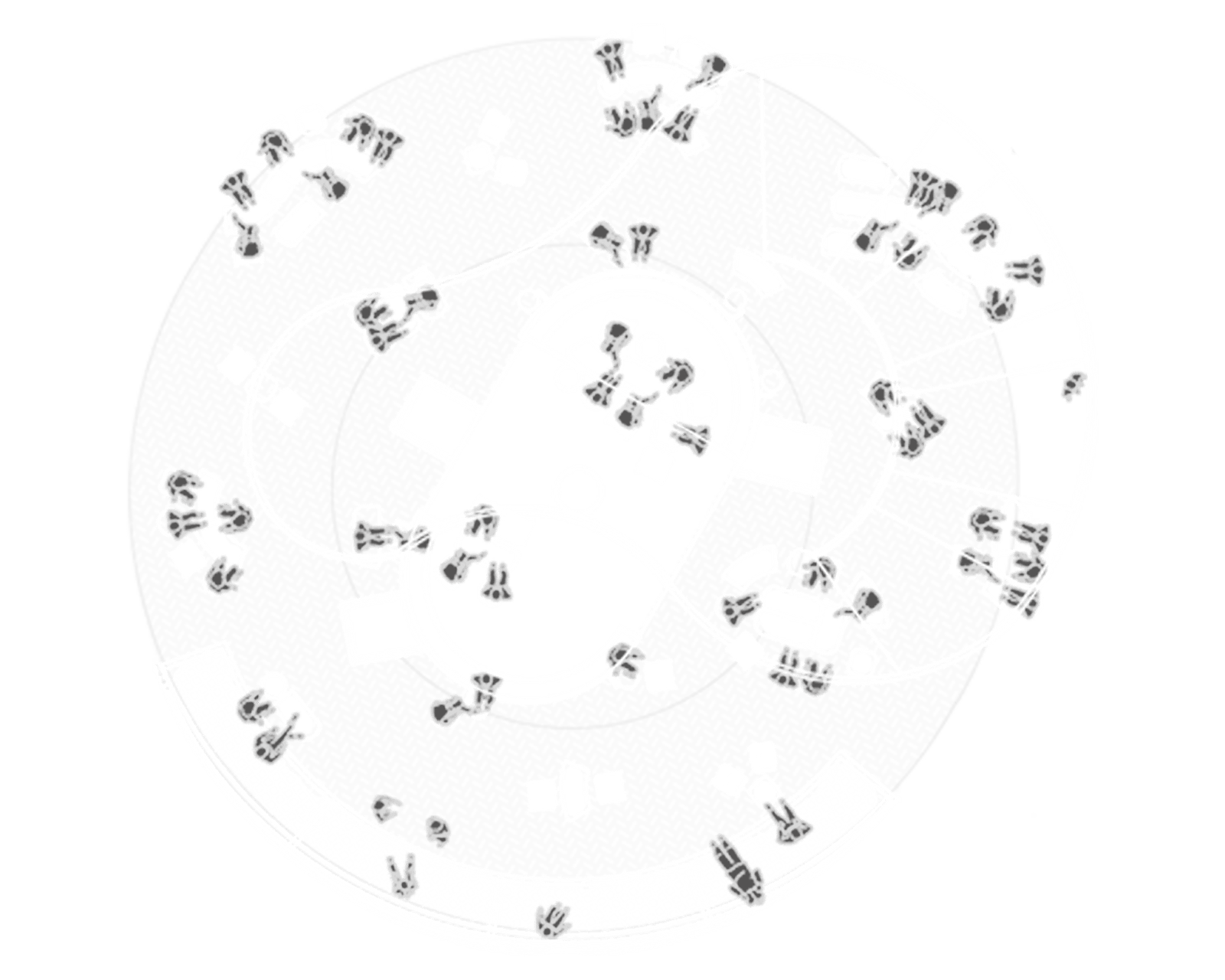 organización espacial y relación entre los distintos sectores y usos.